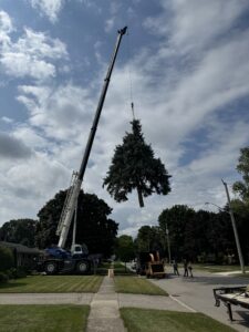 NextGen Tree Inc photo 2